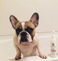 Paw Sani-Scrub - Paw and Nail Cleanser