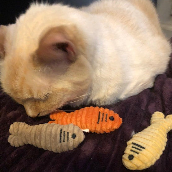 HuggleKats® Sardinies Cat Toys, 3 Pack