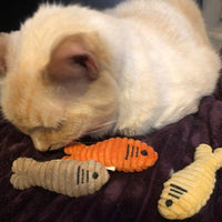 HuggleKats® Sardinies Cat Toys, 3 Pack