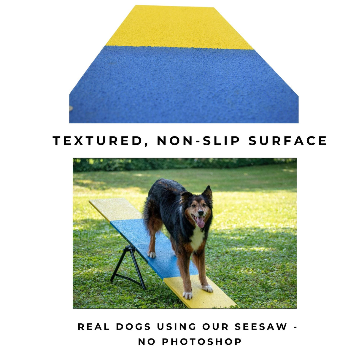 Better Sporting Dogs Practice See Saw – Fully Assembled Practice Teeter for Dog Agility Training