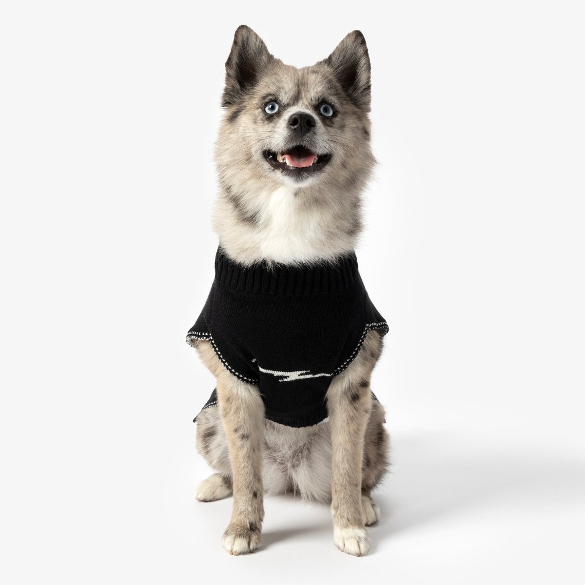 Shinola Brand Logo Knitted Pet Sweater