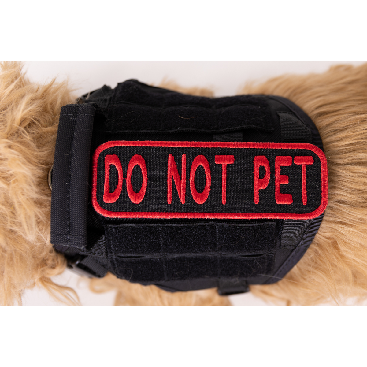 Do Not Pet 2x6 Patch