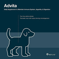 VetOne Advita Probiotic Nutritional Supplement for Dogs