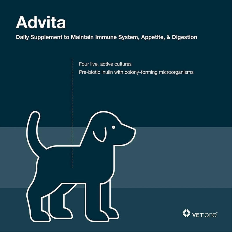 VetOne Advita Probiotic Nutritional Supplement for Dogs