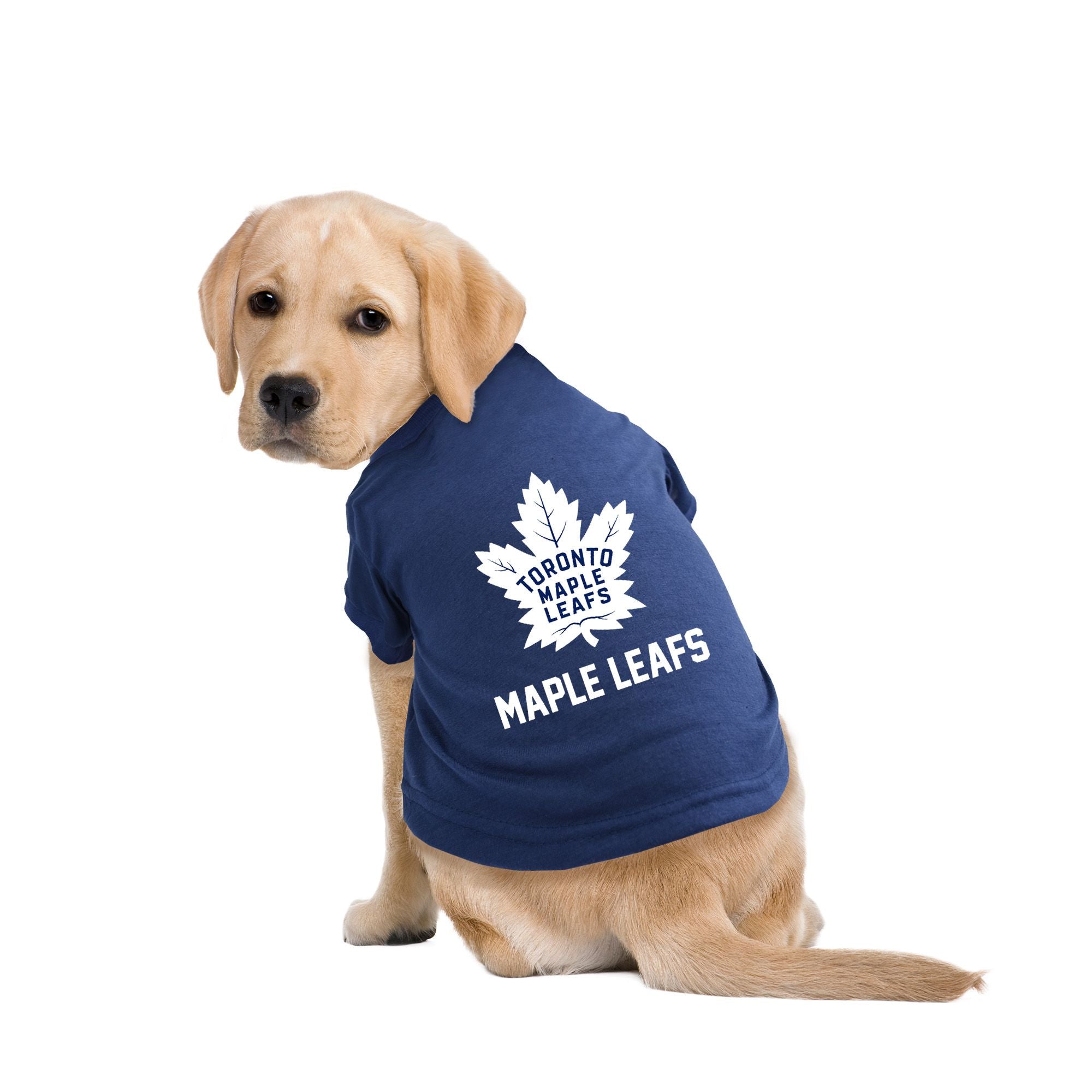 Toronto Maple Leafs Cat Or Small Dog Collar With Option Of Blue Or Pink