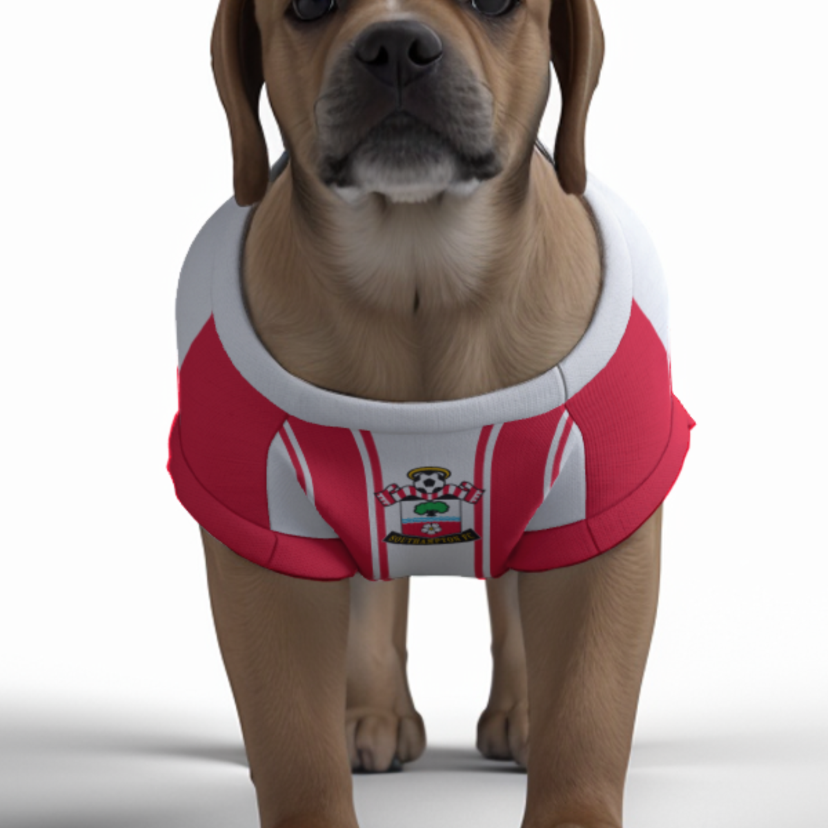 Southampton FC 25/26 Home Kit Inspired Personalized Tank