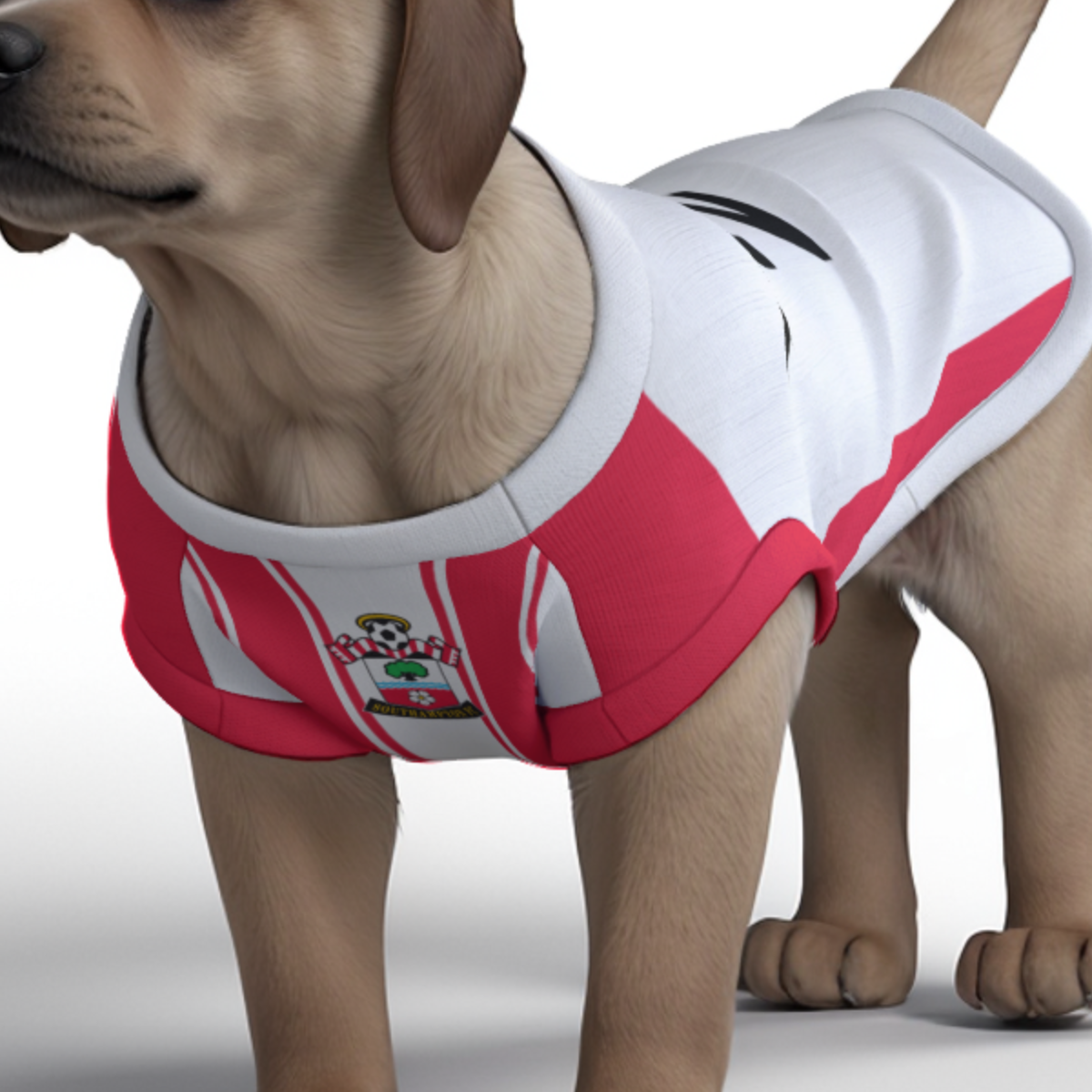 Southampton FC 25/26 Home Kit Inspired Personalized Tank