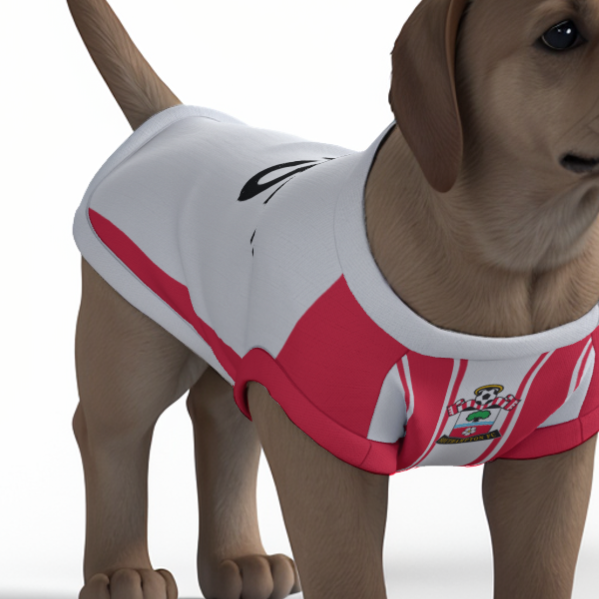 Southampton FC 25/26 Home Kit Inspired Personalized Tank
