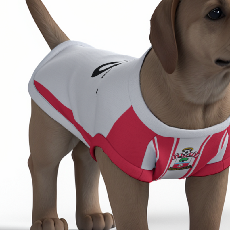 Southampton FC 25/26 Home Kit Inspired Personalized Tank