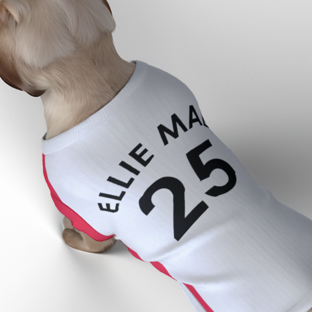 Southampton FC 25/26 Home Kit Inspired Personalized Tank