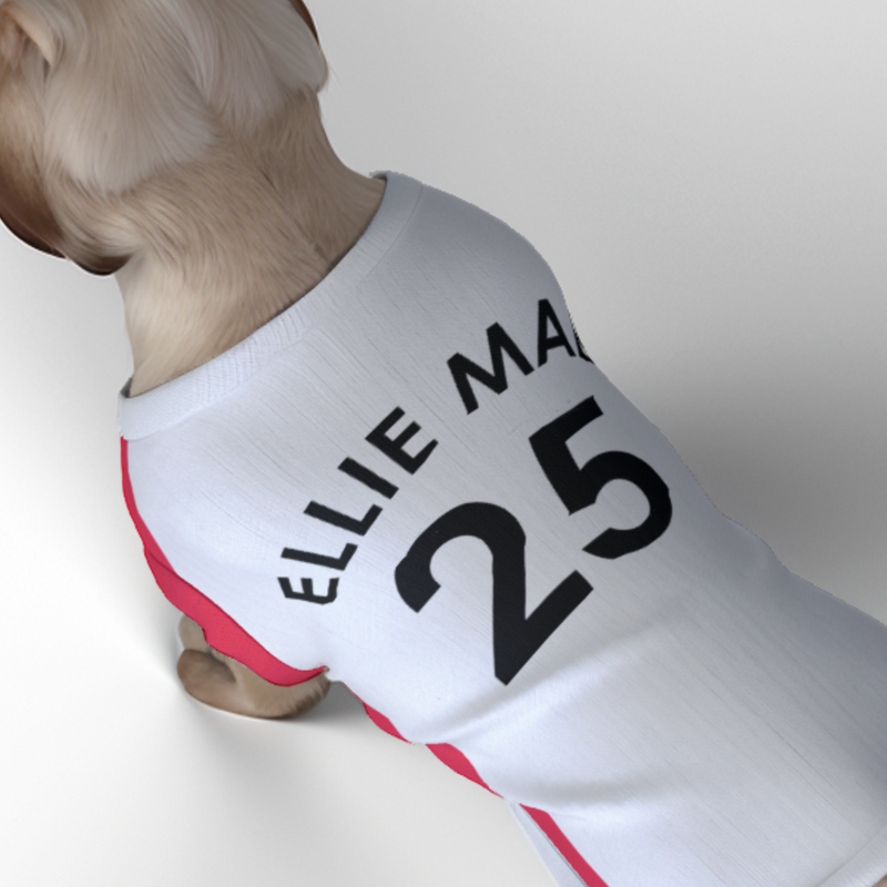 Southampton FC 25/26 Home Kit Inspired Personalized Tank