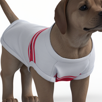Southampton FC 25/26 Home Inspired Graphic Pet Tee Shirt (Size M-2x)