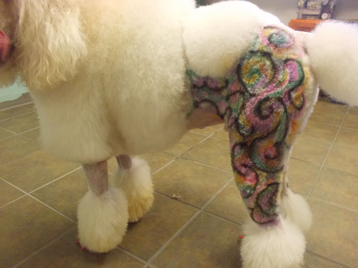 Critter Color - Temporary Pet Fur Coloring/Dog Dye