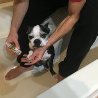 Grapeseed Oil Paw & Nose Revitalizer