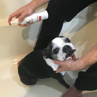 Hot Spot Soothing Spray - Anti Itch Spray That Soothes And Cools