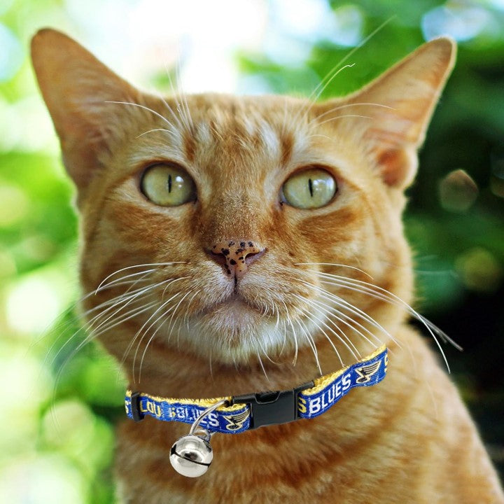 St Louis Blues Cat Collar - READY TO SHIP