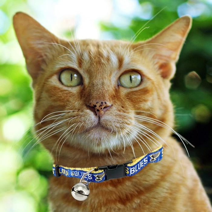 St Louis Blues Cat Collar - READY TO SHIP