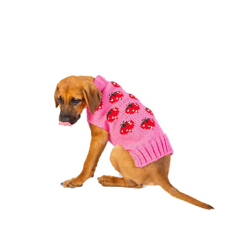 Strawberry Sweater