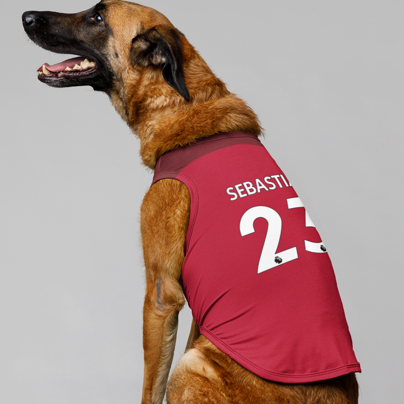 Arsenal star Mesut Ozil dresses his dog in mini Gunners shirt ahead of Chelsea clash