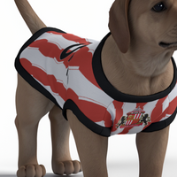Sunderland AFC 25/26 Home Kit Inspired Personalized Tank