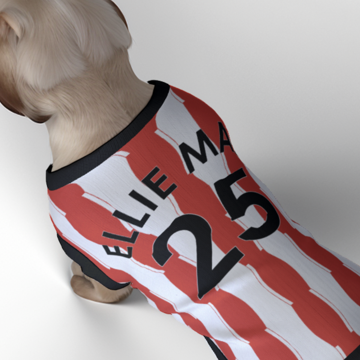 Sunderland AFC 25/26 Home Kit Inspired Personalized Tank