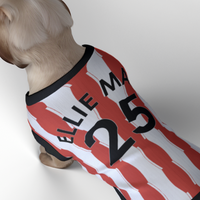Sunderland AFC 25/26 Home Kit Inspired Personalized Tank