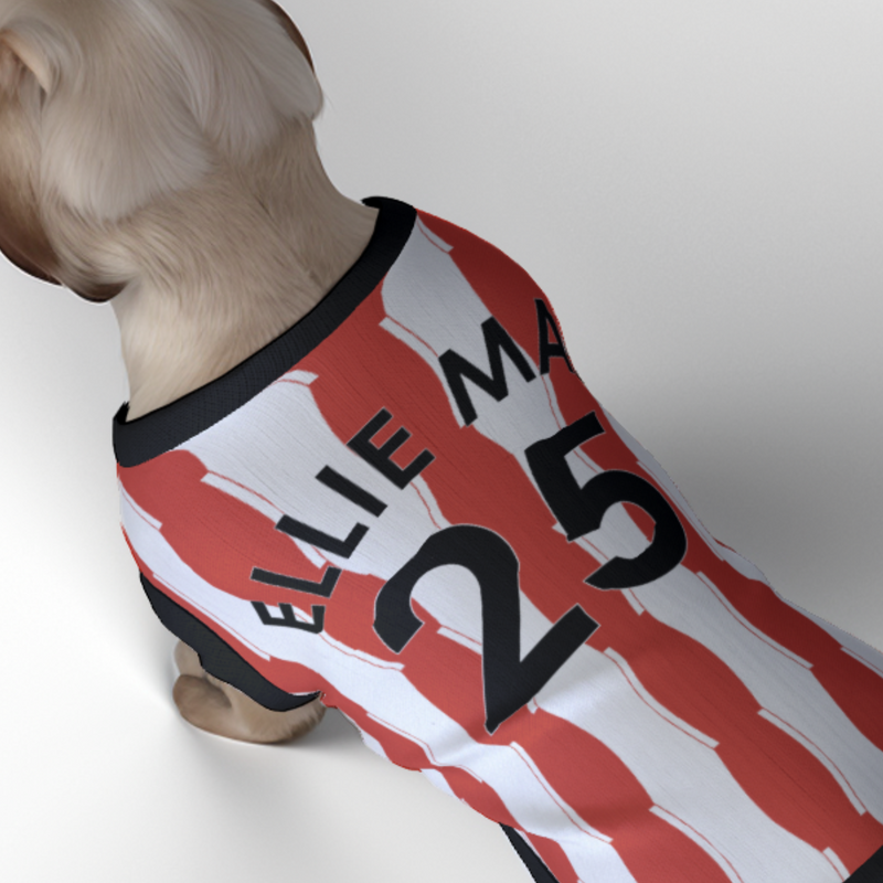Sunderland AFC 25/26 Home Kit Inspired Personalized Tank