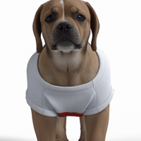 Sunderland AFC 25/26 Home Inspired Pet Graphic Tee Shirt (Sizes XS-Small)