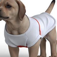 Sunderland AFC 25/26 Home Inspired Pet Graphic Tee Shirt (Sizes XS-Small)
