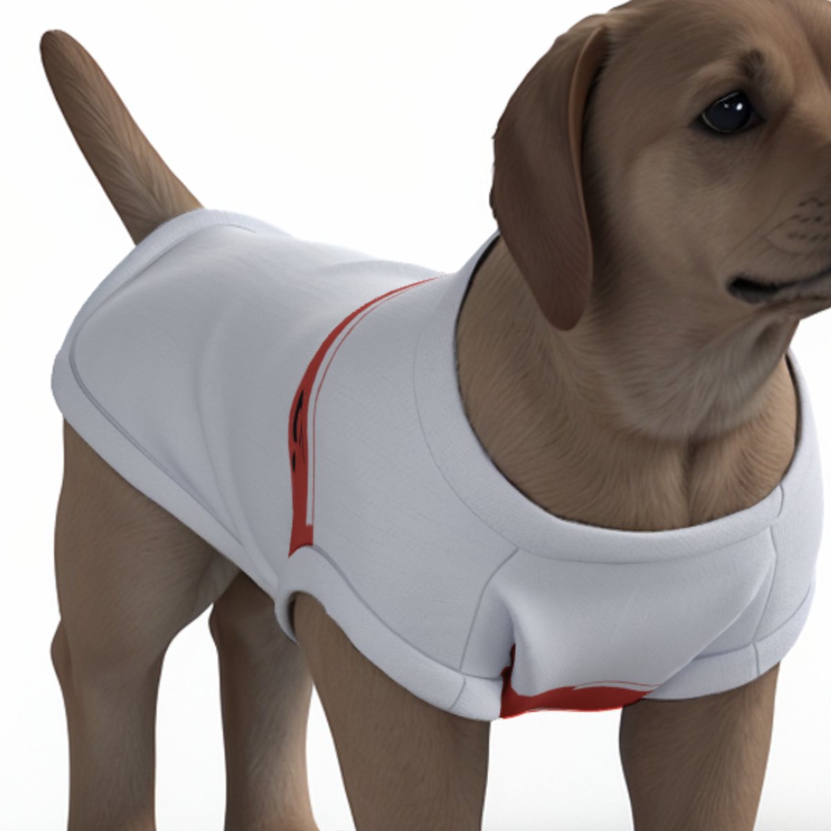 Sunderland AFC 25/26 Home Inspired Pet Graphic Tee Shirt (Sizes XS-Small)