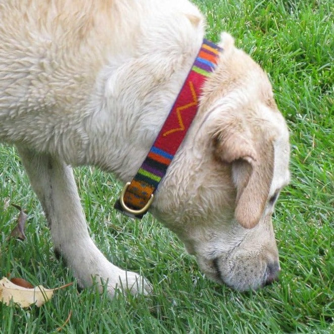 ATWCW Retro - Mayan Artisan-Handmade Dog Collars