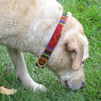 ATWCW Starry Day Mango Shine - Mayan Artisan-Handmade Dog Collars