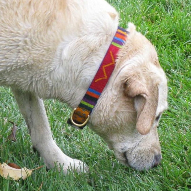 ATWCW Starry Day Island Blues - Mayan Artisan-Handmade Pet Leash