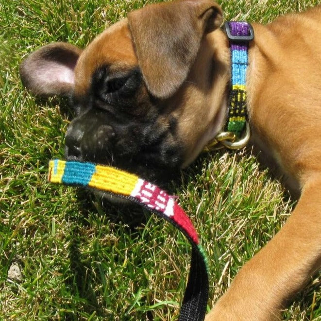 ATWCW Mystic - Mayan Artisan-Handmade Pet Leash