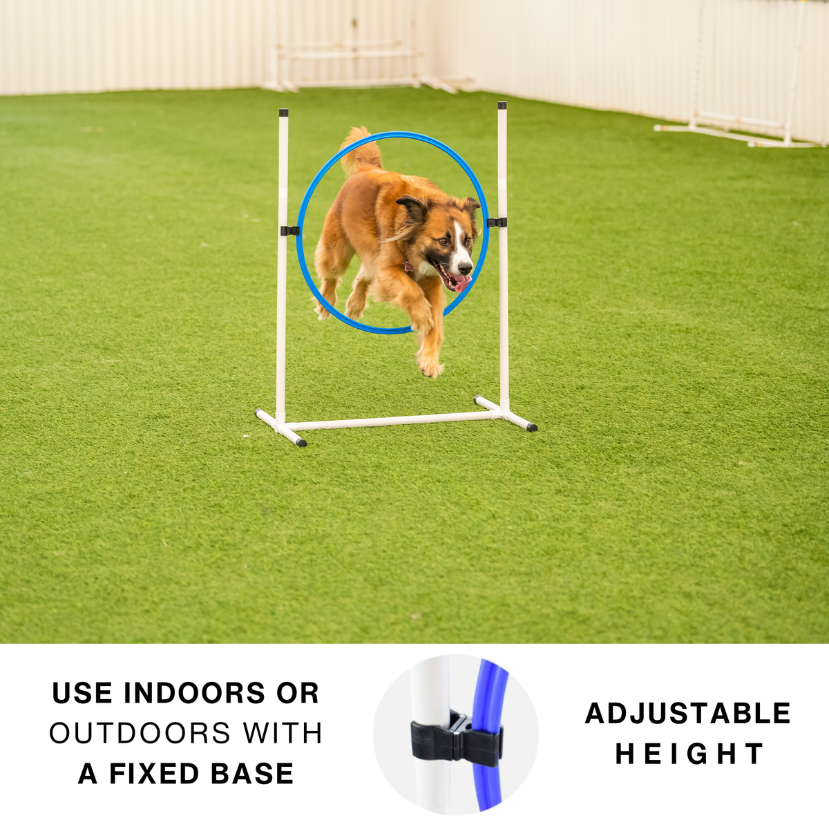 Better Sporting Dogs 5 Piece Dog Agility Equipment Set –  with Jumps, Tunnel, Pause Box & Weave Poles
