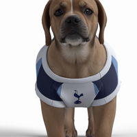 Tottenham Hotspur FC 25/26 Home Kit Inspired Personalized Tank
