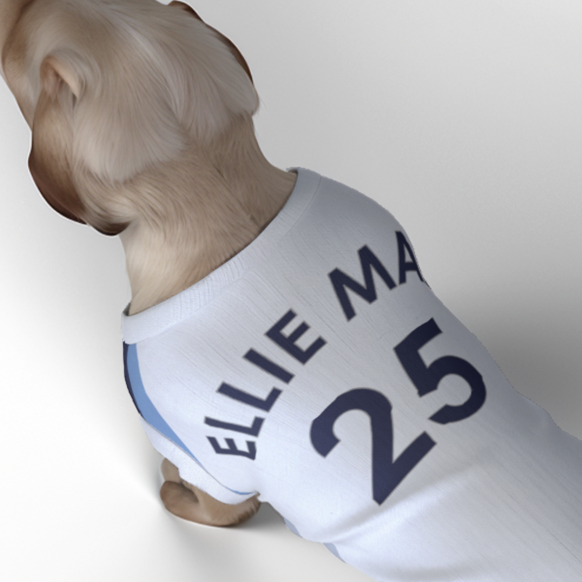 Tottenham Hotspur FC 25/26 Home Kit Inspired Personalized Tank