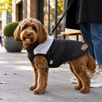Touchdog 'Furrost-Bite' Fur and Fleece Designer Fashion Dog Jacket