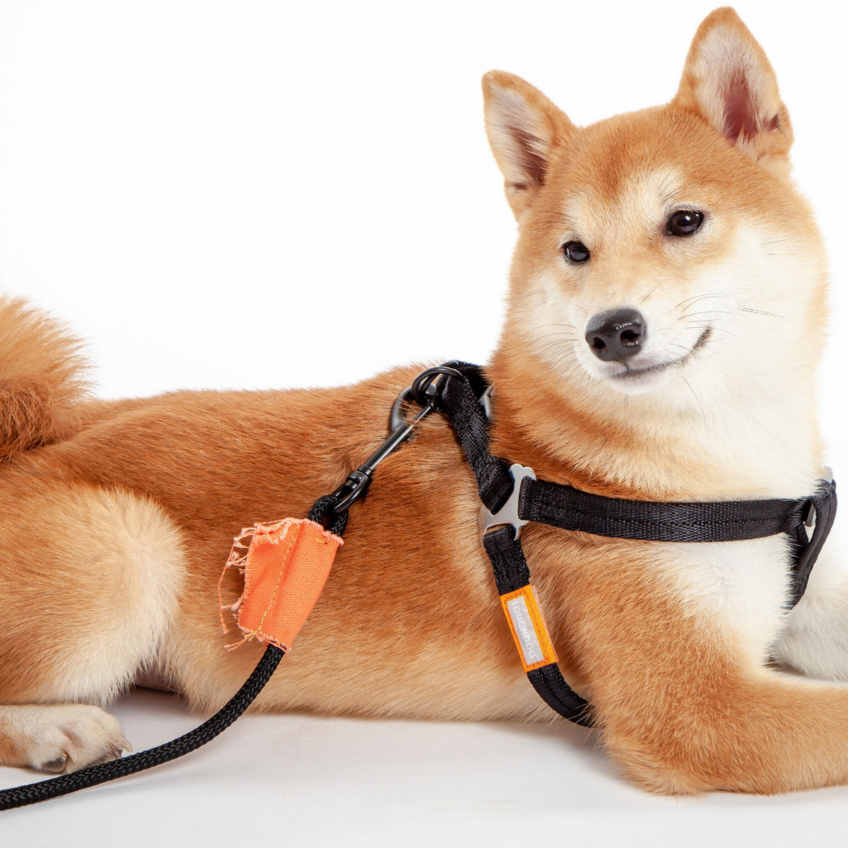 Touchdog ® 'Macaron' 2-in-1 Durable Nylon Dog Harness and Leash