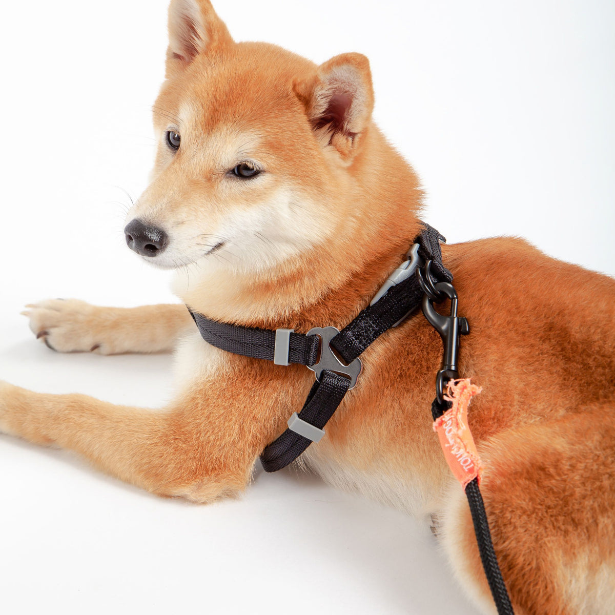 Touchdog ® 'Macaron' 2-in-1 Durable Nylon Dog Harness and Leash