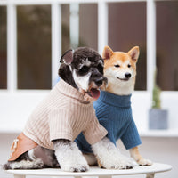 Touchdog ® 'Modress' Fashion Designer Dog Sweater and Dress