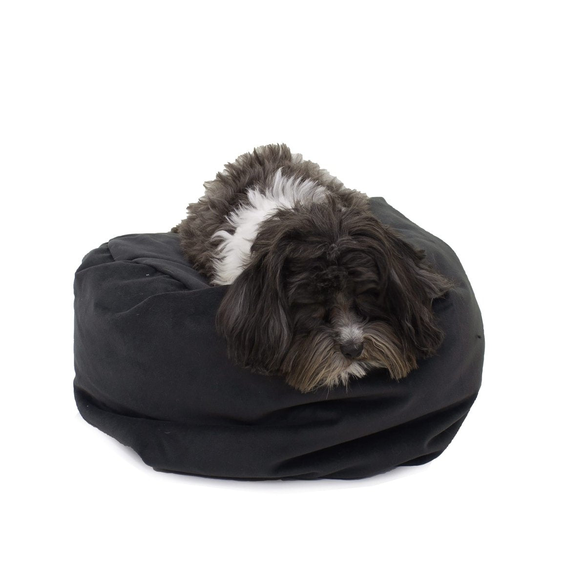 Transformer Converting Dog and Cat Bed