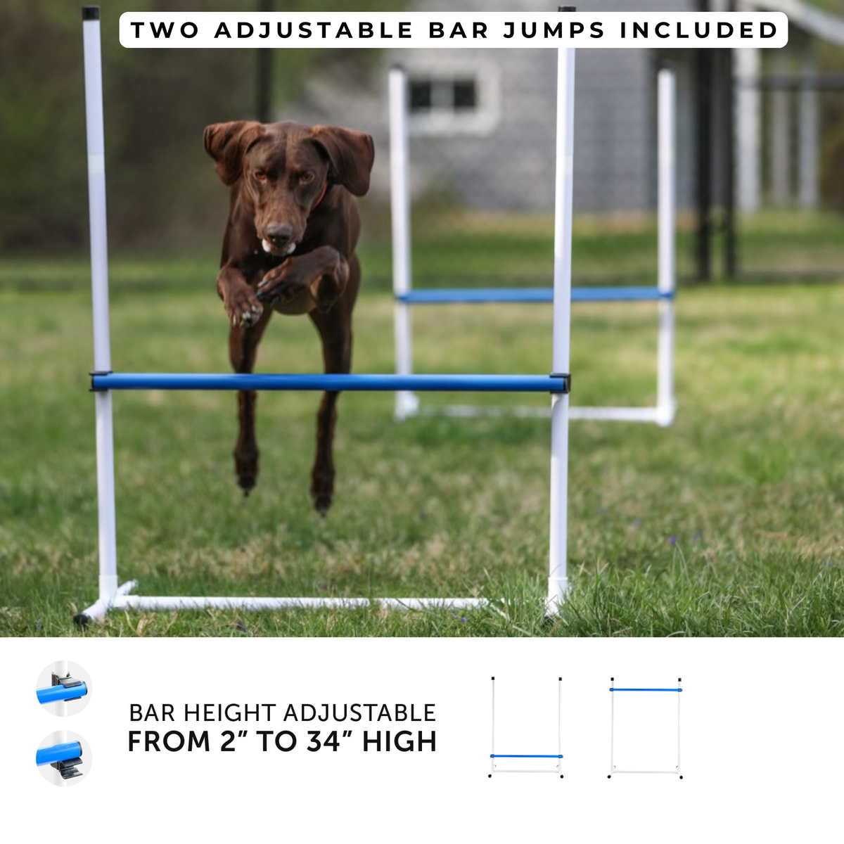 Better Sporting Dogs 7 Piece Dog Agility Equipment Set –  with Jumps, Tunnels, Pause Box & Weave Poles