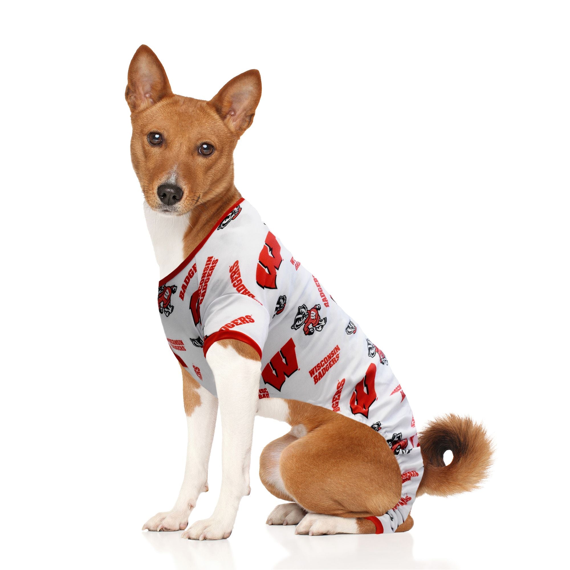 Wisconsin badger shop dog apparel