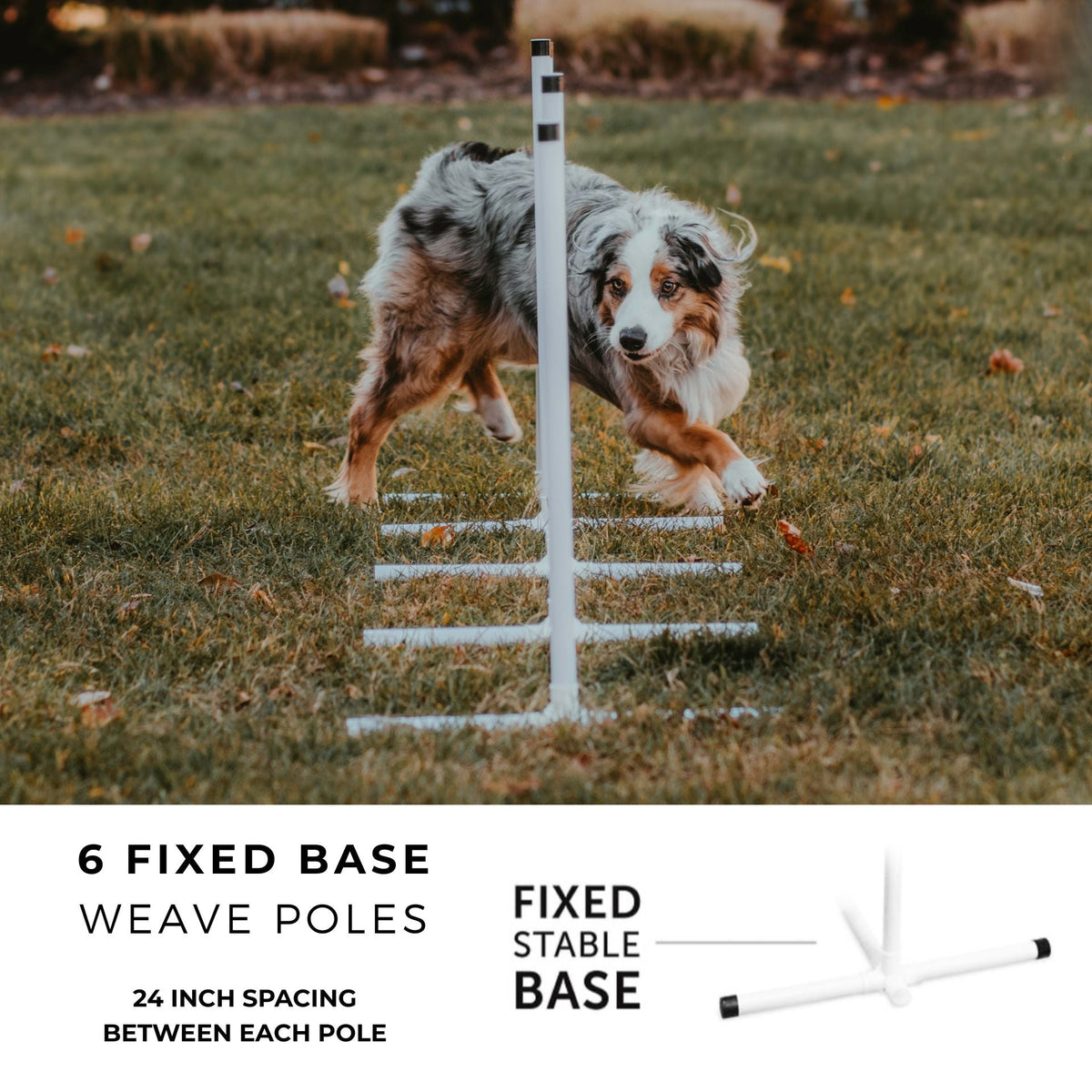 Better Sporting Dogs 5 Piece Dog Agility Equipment Set –  with Jumps, Tunnel, Pause Box & Weave Poles
