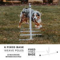 Better Sporting Dogs 5 Piece Dog Agility Equipment Set –  with Jumps, Tunnel, Pause Box & Weave Poles