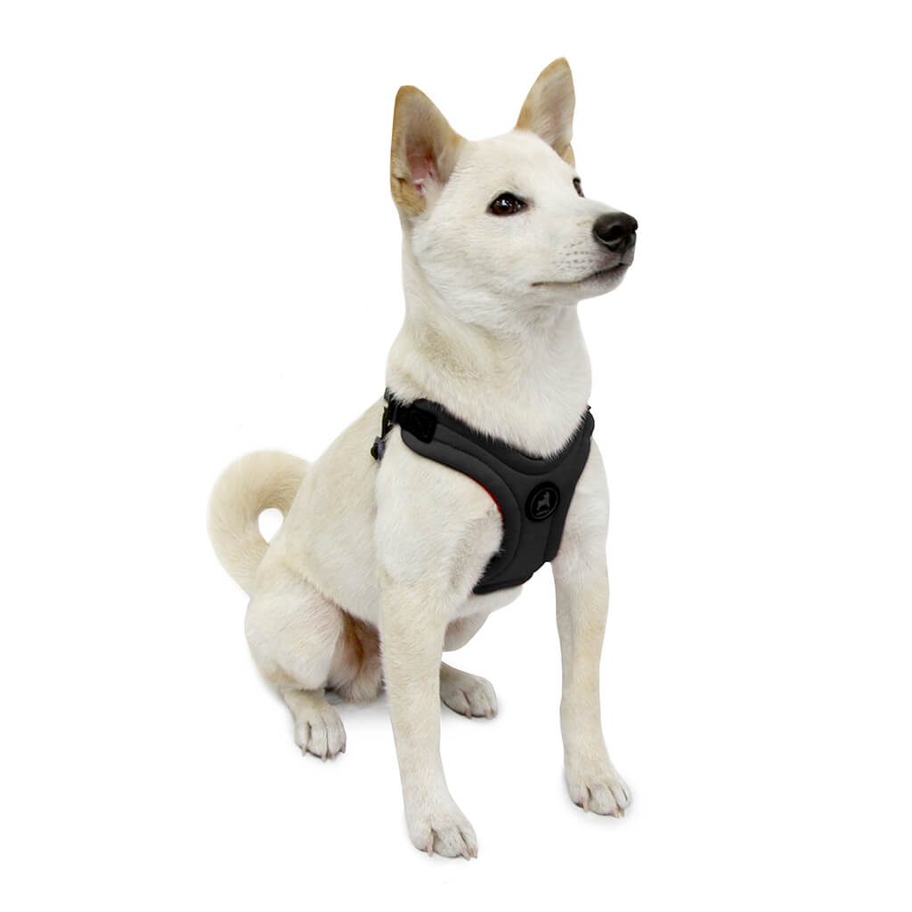 Escape Free Sport Harness