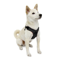 Escape Free Sport Harness