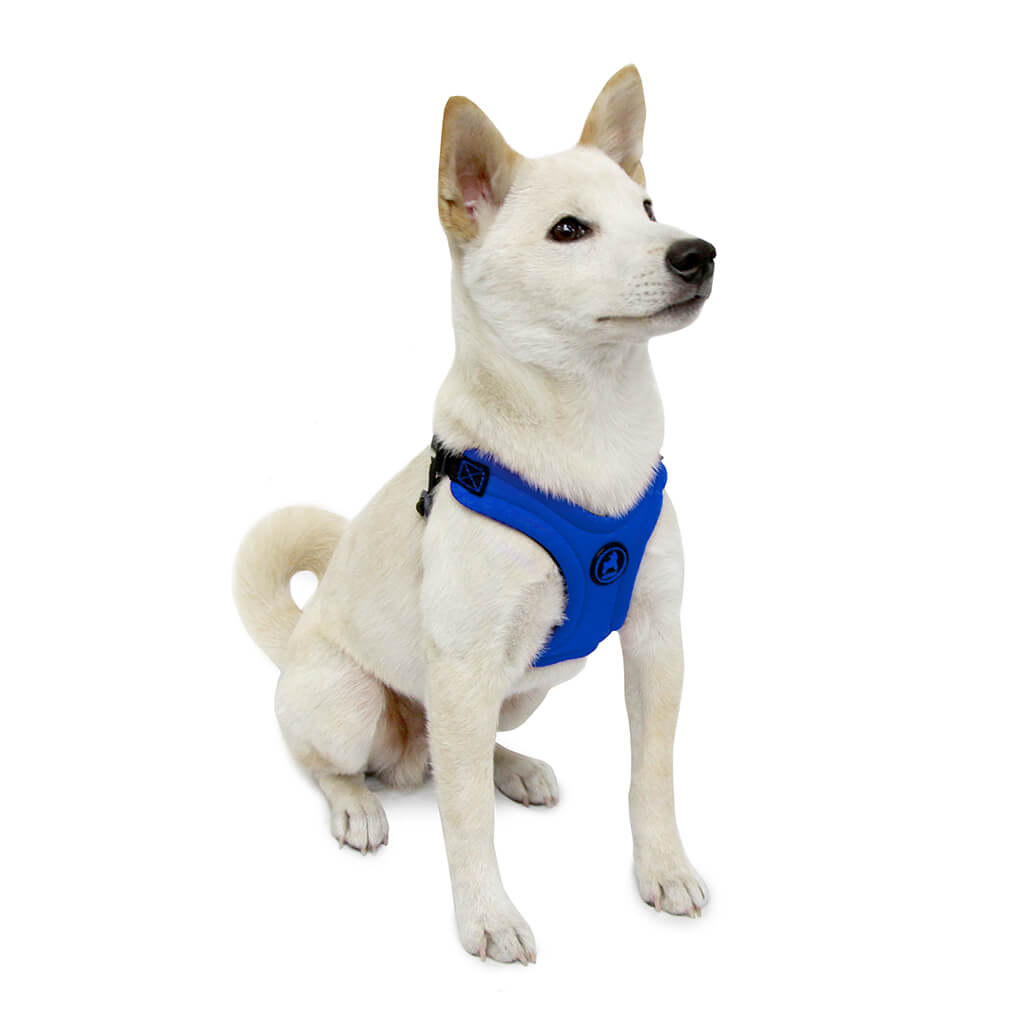 Escape Free Sport Harness