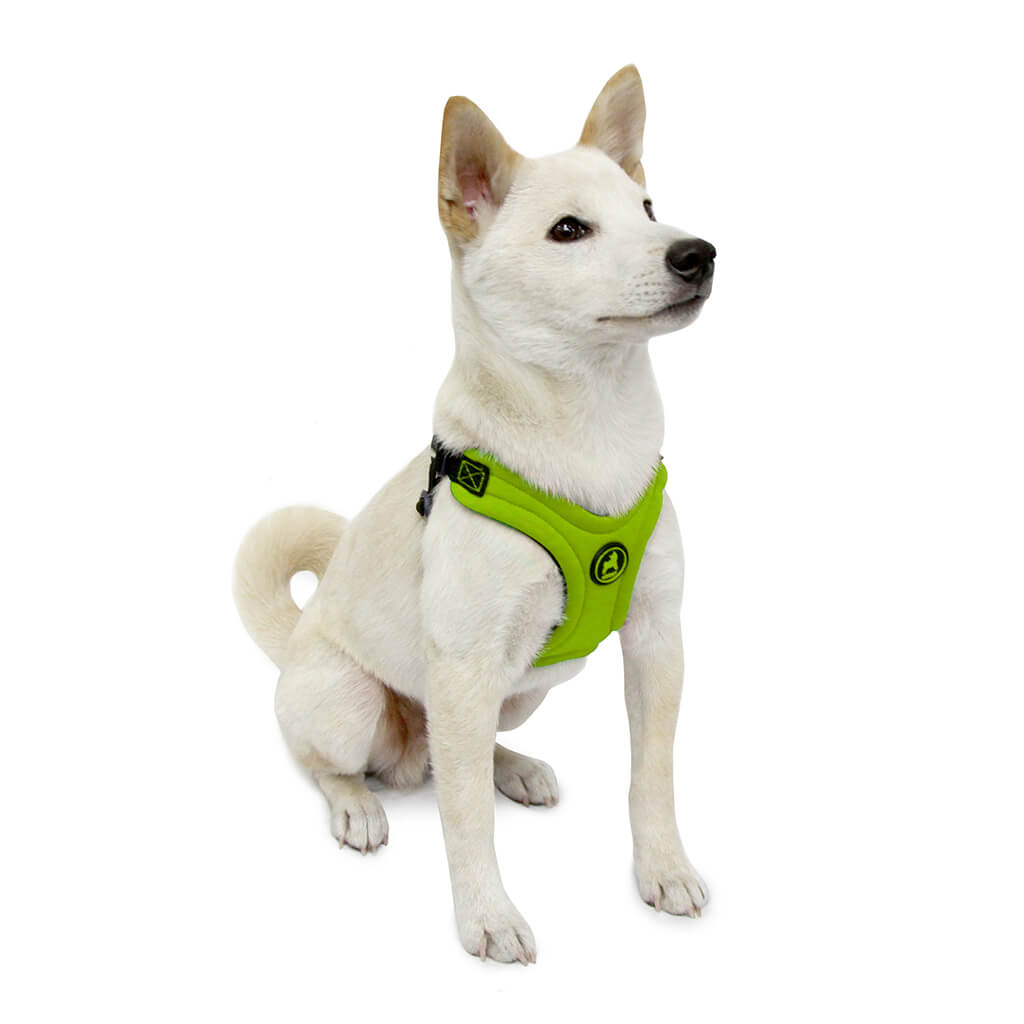 Escape Free Sport Harness